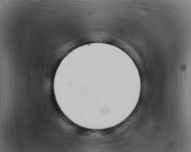 X0000102470113200808081018