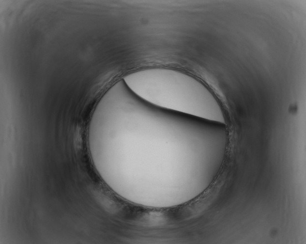 X0000102470114200808081018