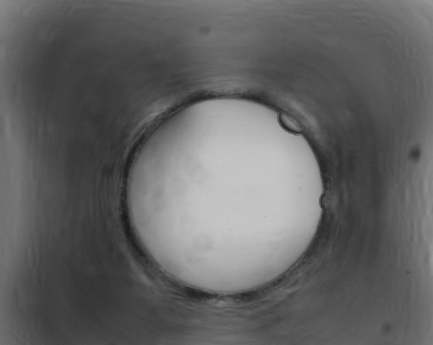 X0000102470115200808081018