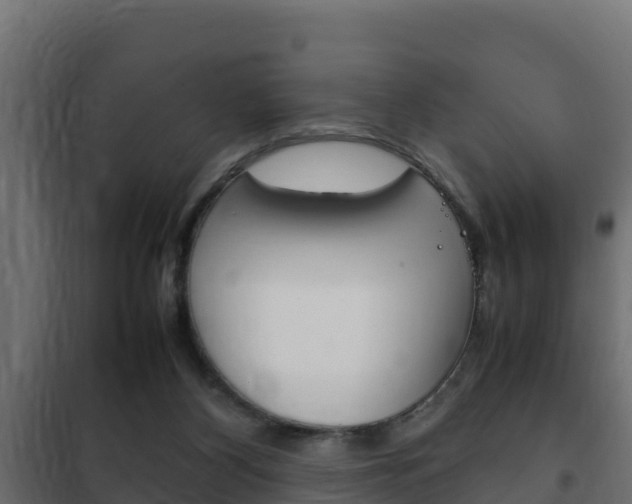 X0000102470116200808081018