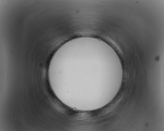 X0000102470117200808081018