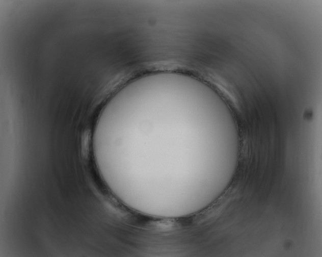 X0000102470118200808081018