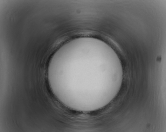 X0000102470119200808081018