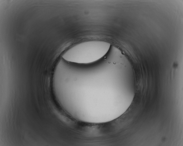 X0000102470120200808081018