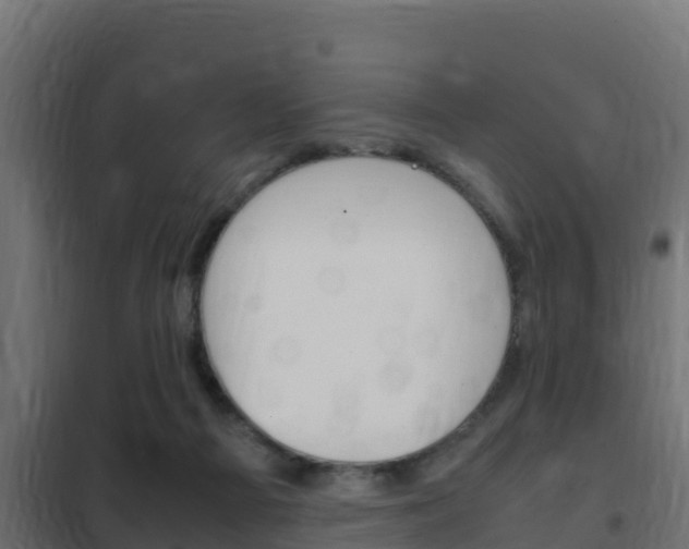 X0000102470121200808081018