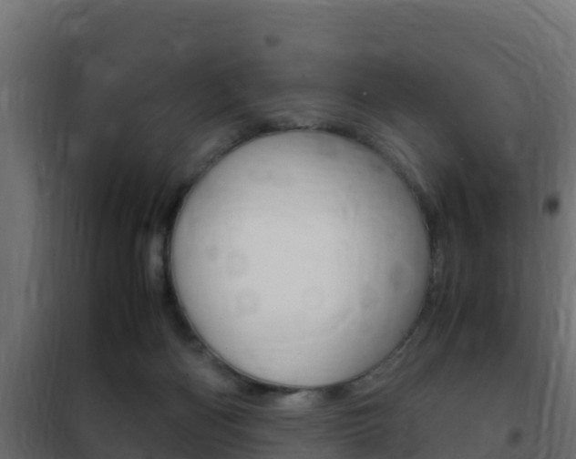 X0000102470122200808081018