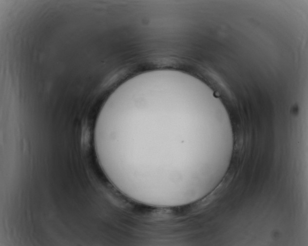 X0000102470124200808081018