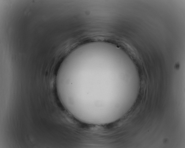 X0000102470125200808081018
