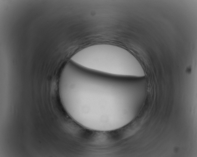 X0000102470127200808081018