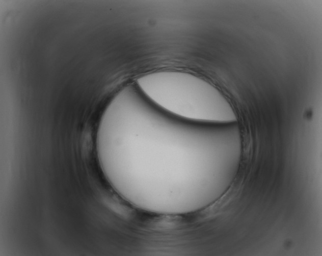 X0000102470128200808081018