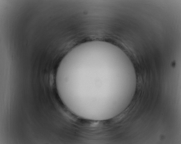 X0000102470130200808081018