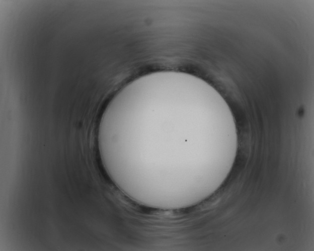 X0000102470131200808081018