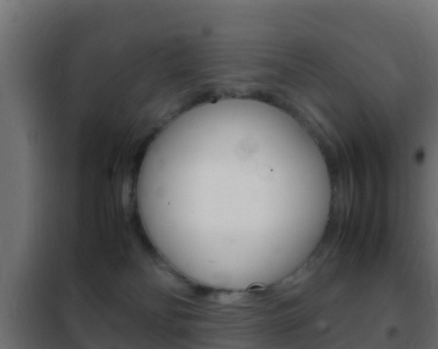 X0000102470134200808081018