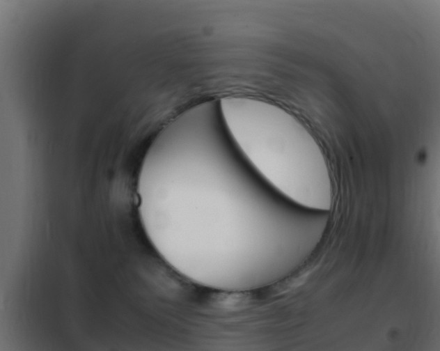 X0000102470135200808081018