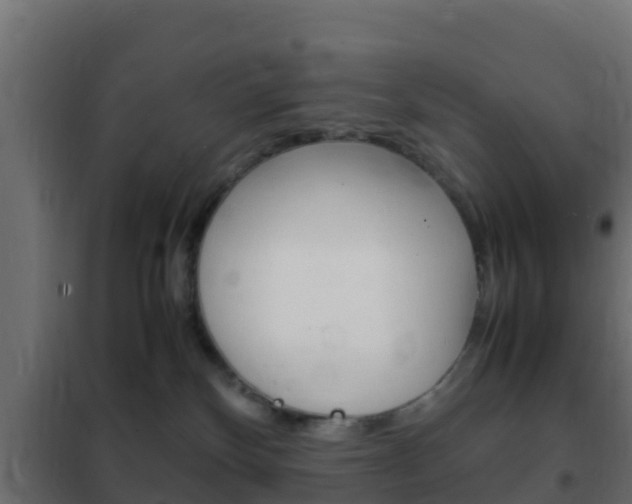 X0000102470136200808081018