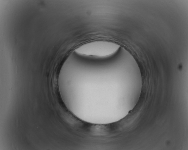X0000102470137200808081018