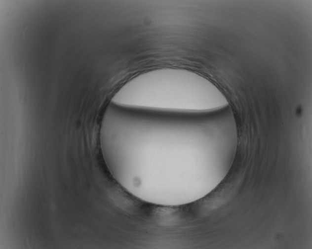 X0000102470139200808081018