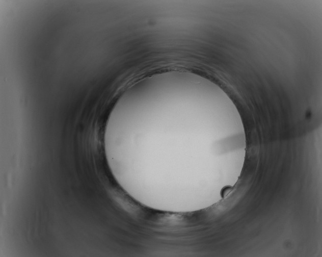 X0000102470140200808081018