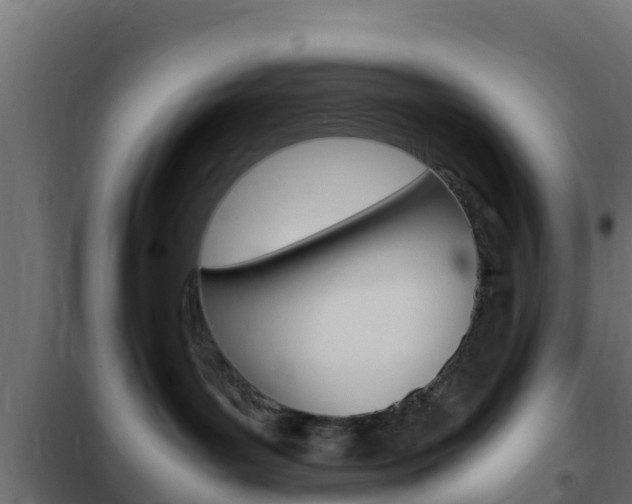 X0000102470143200808081018