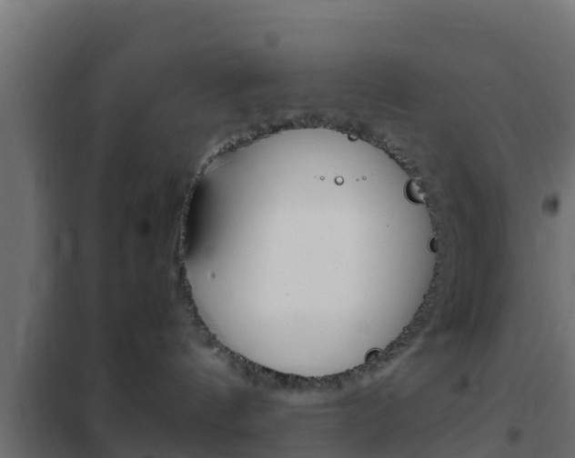 X0000102470144200808081018