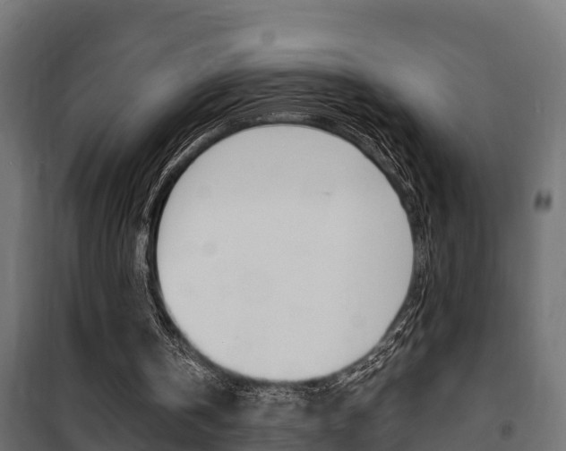 X0000102470146200808081017