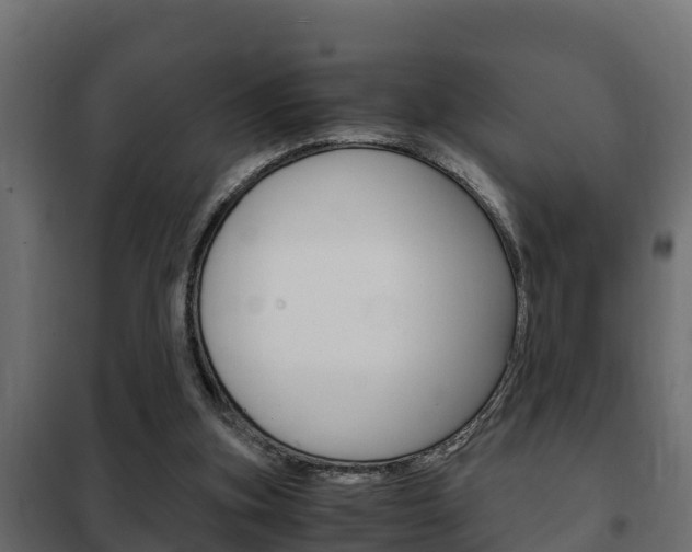 X0000102470155200808081017