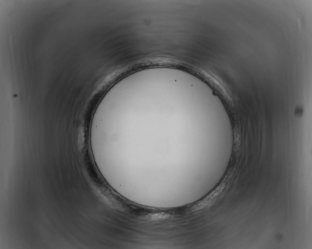 X0000102470158200808081017