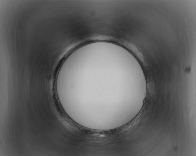 X0000102470159200808081017
