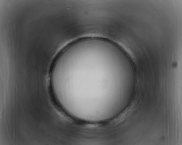 X0000102470160200808081017