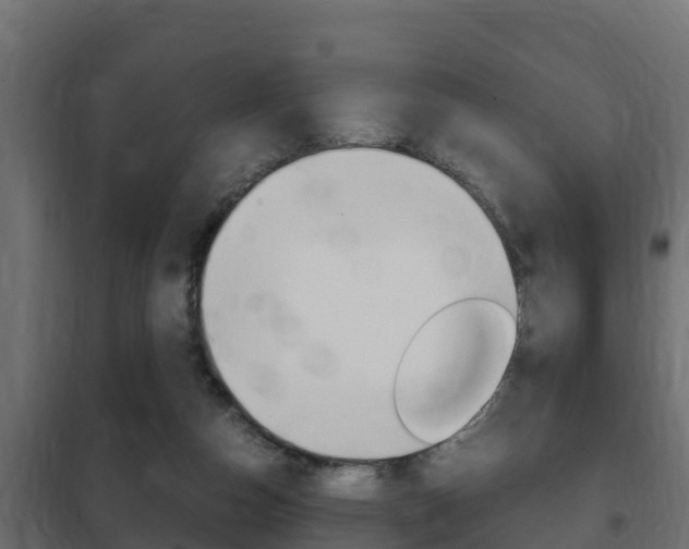 X0000102470162200808081017