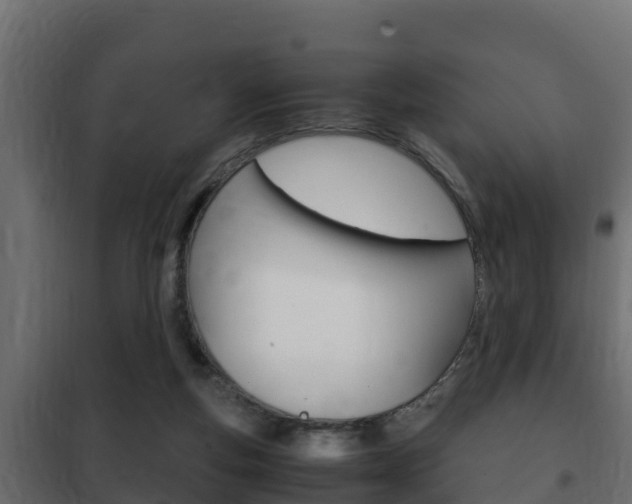 X0000102470163200808081017