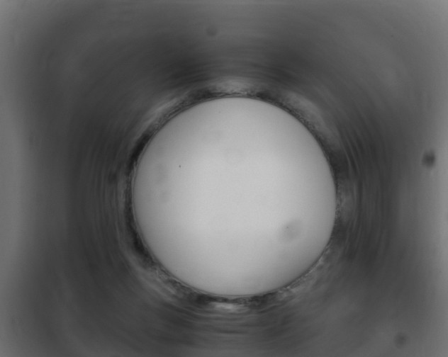 X0000102470167200808081017