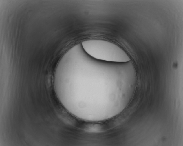X0000102470169200808081017