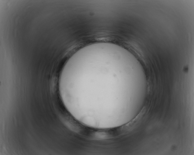 X0000102470171200808081017