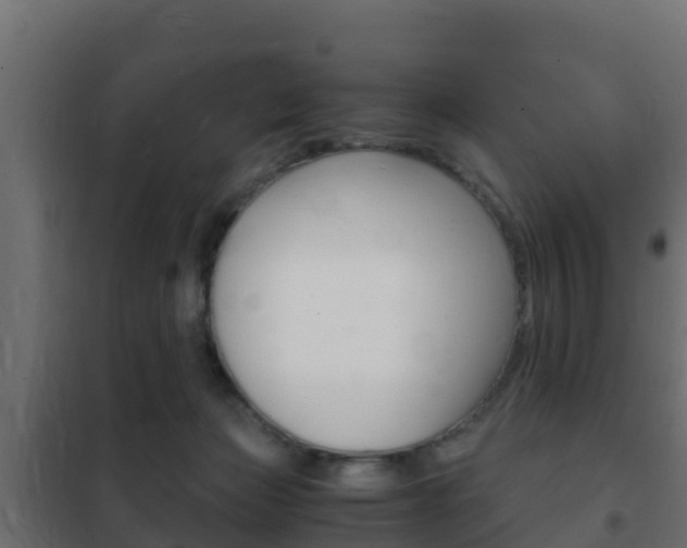 X0000102470173200808081017
