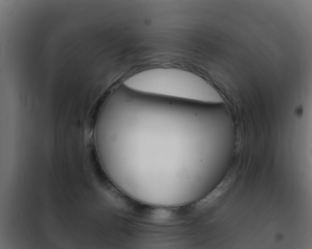 X0000102470176200808081017
