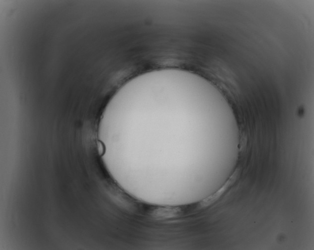 X0000102470179200808081017