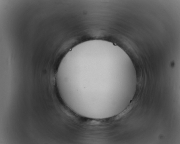X0000102470180200808081018