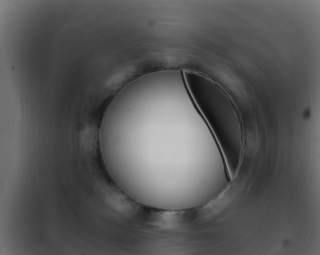X0000102470184200808081018