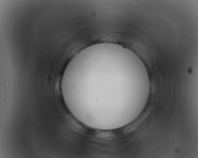 X0000102470185200808081018