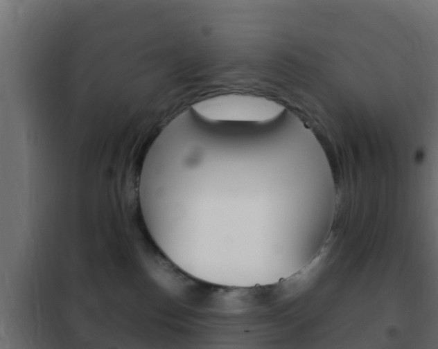 X0000102470186200808081018