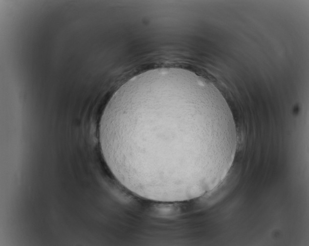 X0000102470187200808081018