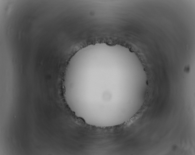 X0000102470192200808081018