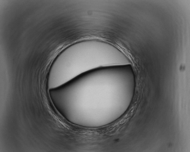 X0000102470193200808081017