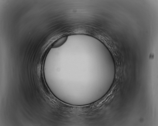 X0000102470194200808081017