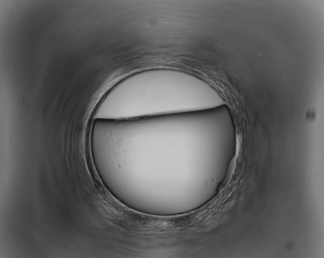 X0000102470195200808081017