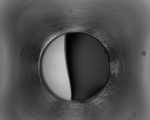 X0000102470196200808081017