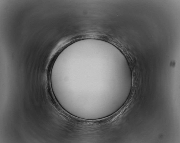 X0000102470198200808081017