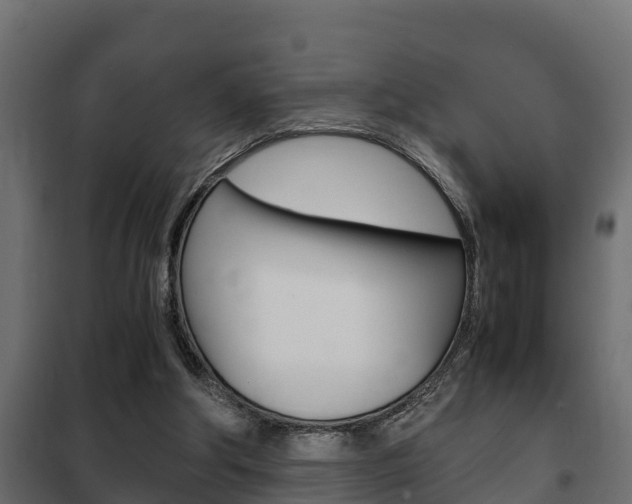 X0000102470202200808081017