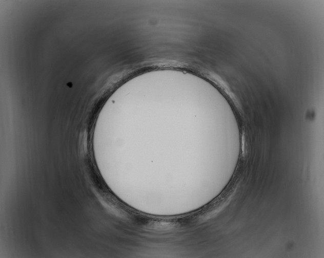 X0000102470205200808081017